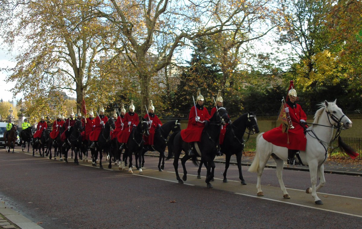 bisset_philip's tweet photo. @RoyalSpectator #LongGuard #GreenPark #London https://t.co/k6iNMGVOzQ