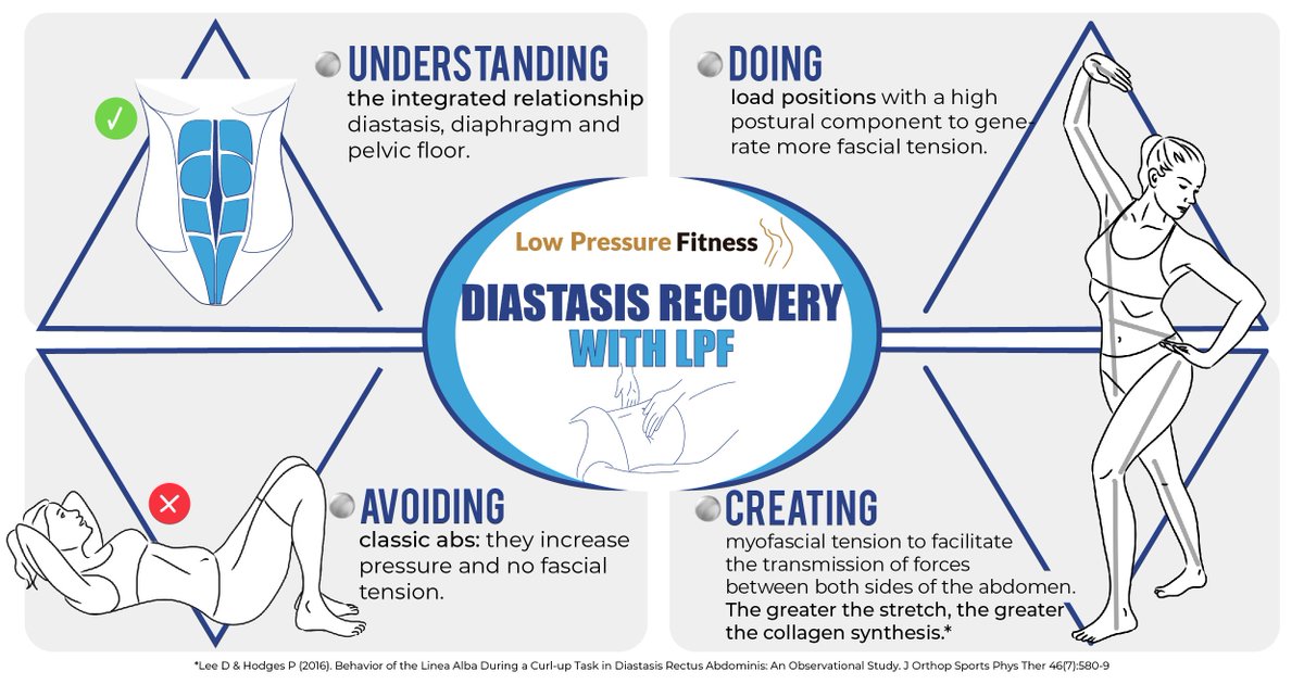 LPFworkout's tweet image. What aspects do we need to keep in mind when dealing with diastasis recovery with the #LowPressureFitness training program?
Here are some clues. 🙌