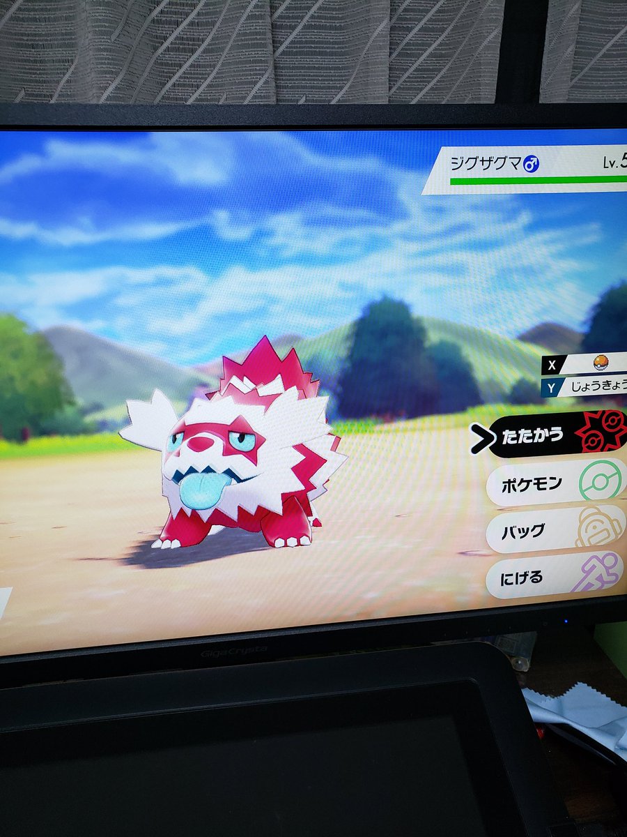 廃人 ガラルジグザグマの色違い出た ポケモン剣盾 T Co Sftoypbwts Twitter