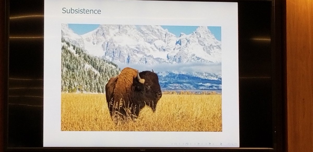 With the economics of Indian country, one important aspect was the North American bison (my favorite animal, btw).The way it was used for subsistence showed the efficiency of the people.