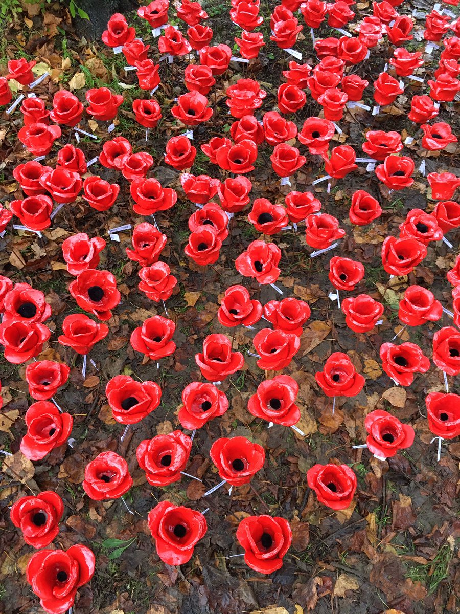 400 hand-made ceramic poppies were planted <a href="/CastertonColleg/">Casterton College Rutland</a> today by the students . They look beautiful - each one individually crafted. Great way to remember the sacrifices of others . #Rutland