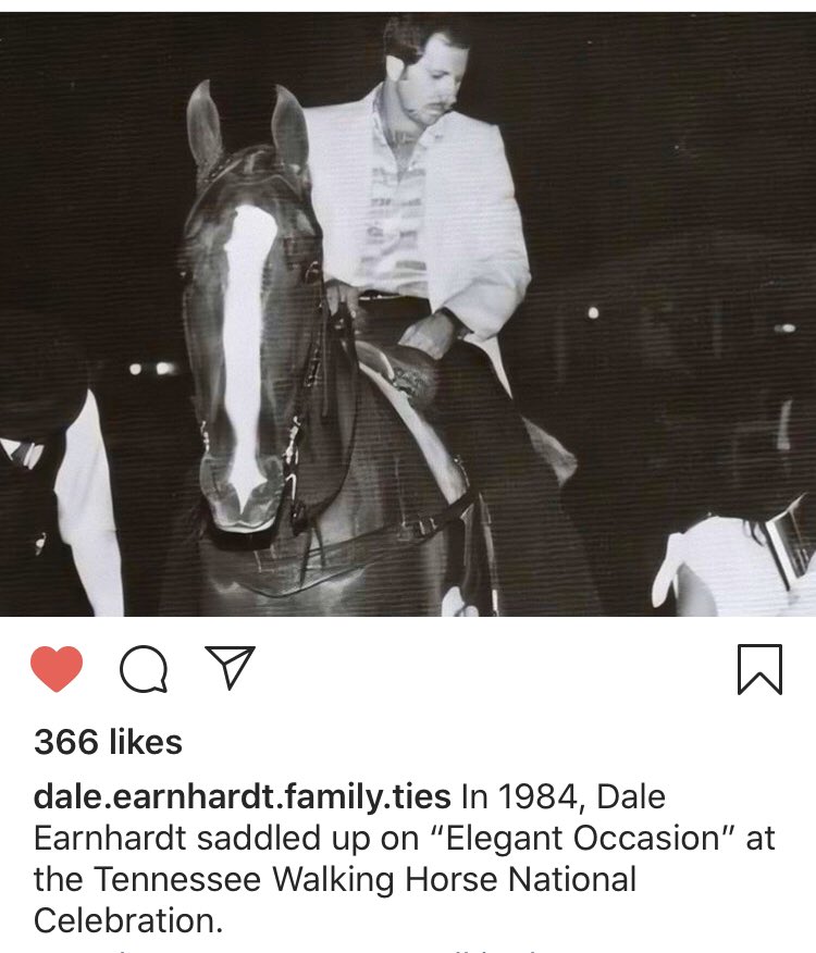 Walking Horse Source tweet media