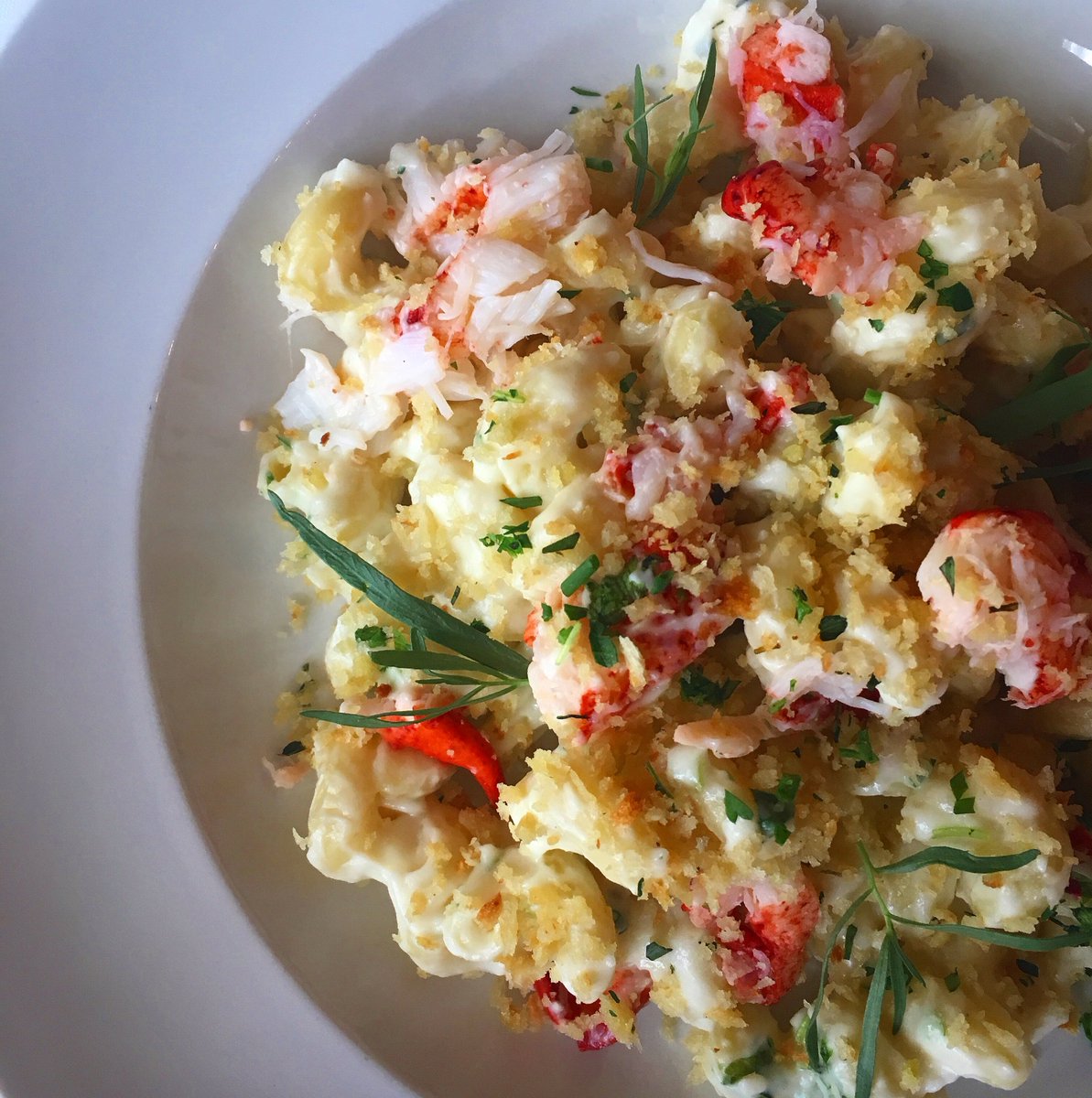 RARE_Madison's tweet photo. Our lobster mac is the perfect sidekick for any entree of your choosing! https://t.co/bKMRBRCmc9