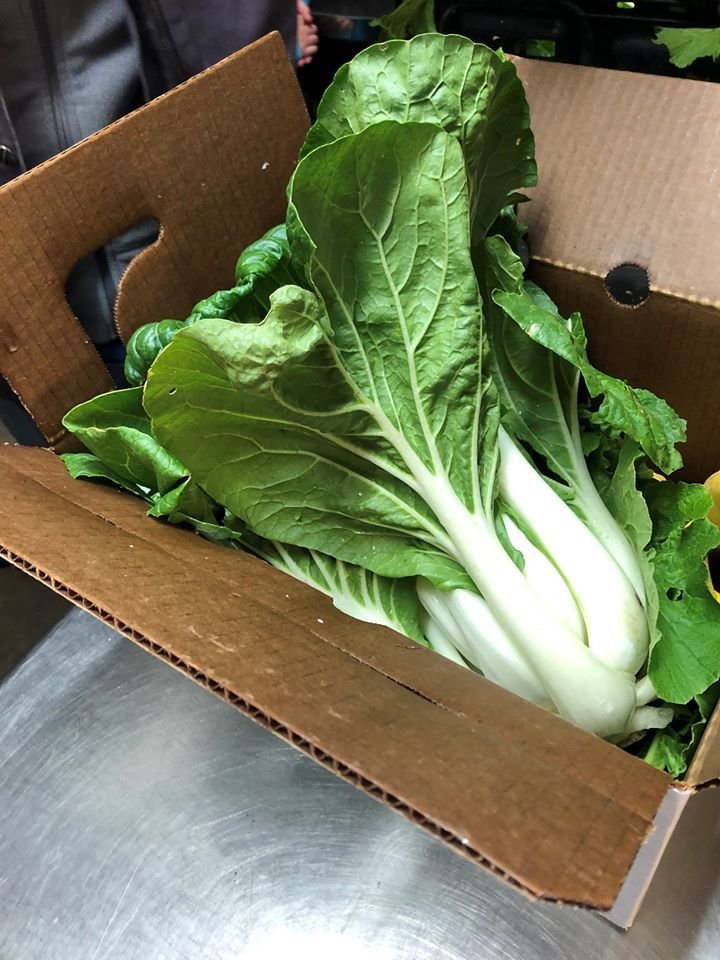 Grace_Presby's tweet photo. #FirstPresWaco youth packed veggie prescription boxes at the #WorldHungerRelief Farm in Waco last night – a wonderful way to help the hungry receive much needed vegetables and other healthy foods. #youthwork #handsandfeet #presbyproud #pcusa https://t.co/tWDcjcBs5j