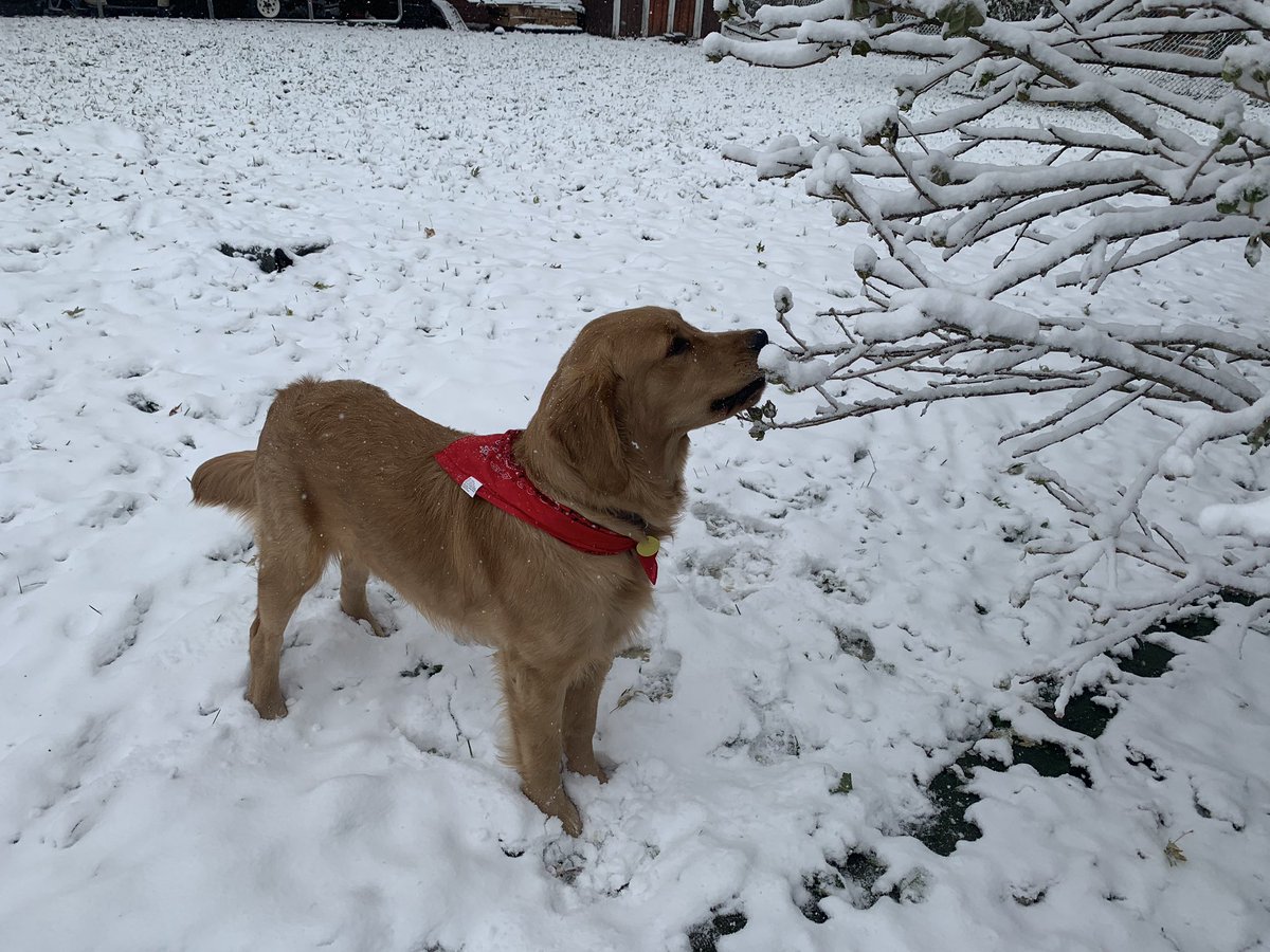 Twentyonetyler's tweet image. 