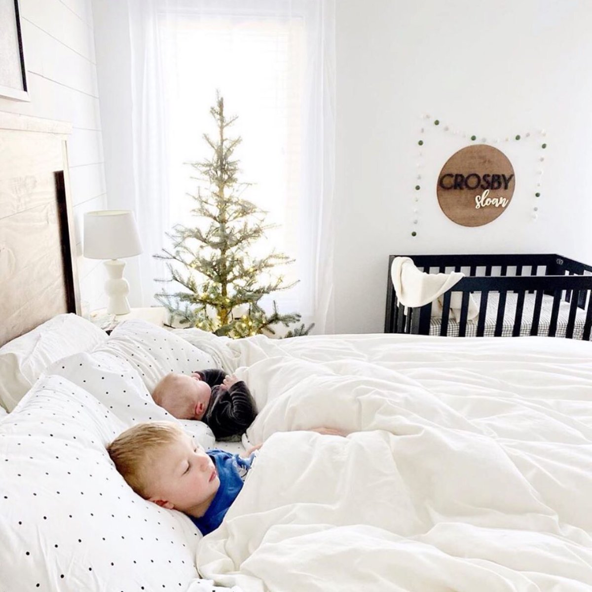 Feeling cosy?
The weekend is almost here and @thetrendytimber are our nap time goals.
Share your nap time tips below.

#fifiandfriends #repost #naptime