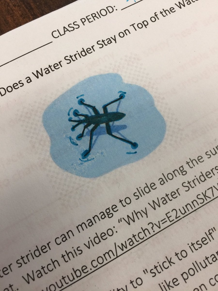 RunSpruce's tweet image. Ranger Granger from Spruce Run is at CCS Gifted Academy today helping students learn about scientific method.