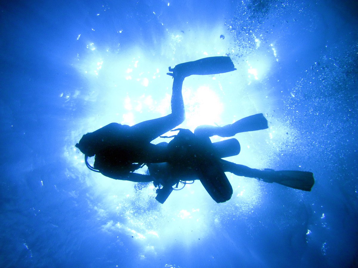 Latin Frontiers tweet media