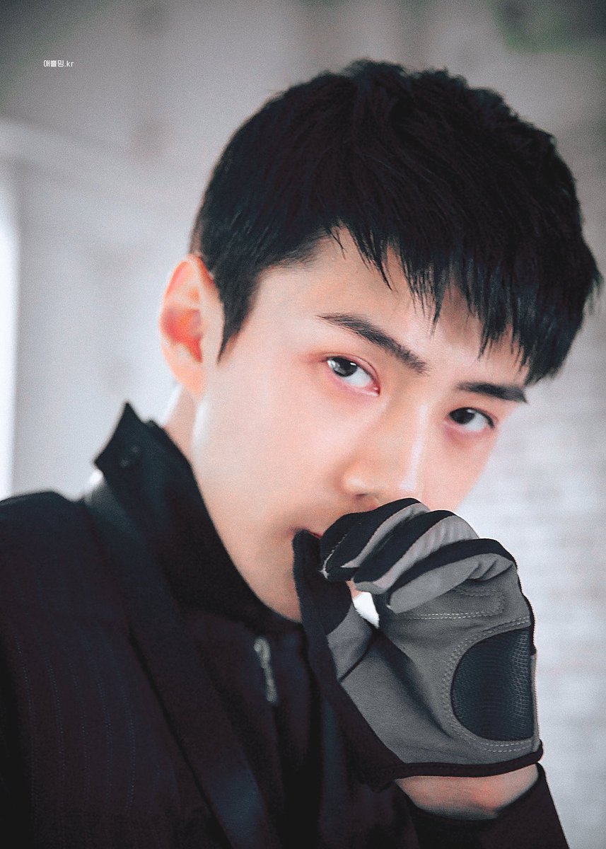 됴 · 🐧 🌖🎹 (BUSY) on Twitter: 됴 · 🐧 🌖🎹 (BUSY) on Twitter: