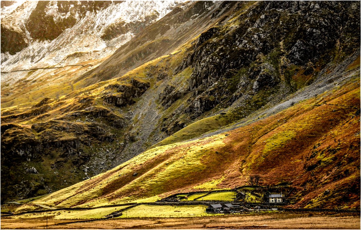 Richard Jones tweet media