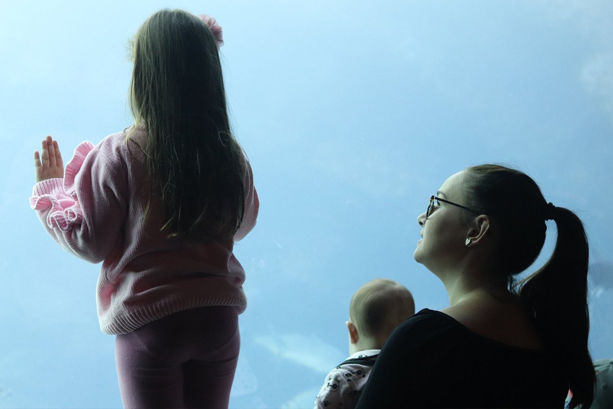 thedonfathersa's tweet photo. Saving towards the future of my children has put my mind at ease. I can make their dreams come true without putting any additional strain on our finances. @LibertyGroupSA has shared their #RealLifeAdvise that has been so helpful. See here for more - https://t.co/idmrnWIV6P #Ad https://t.co/XvLRNnKTNE
