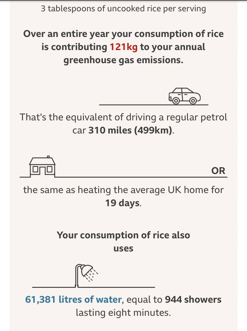 dianejmasterson's tweet photo. Potatoes are not only a delicious nutritional powerhouse, they’re a much better choice for tackling #climatechange than rice. 

You can play your part by supporting #irishfood 

#whatplanetareyouon https://t.co/slJ76jQnxy