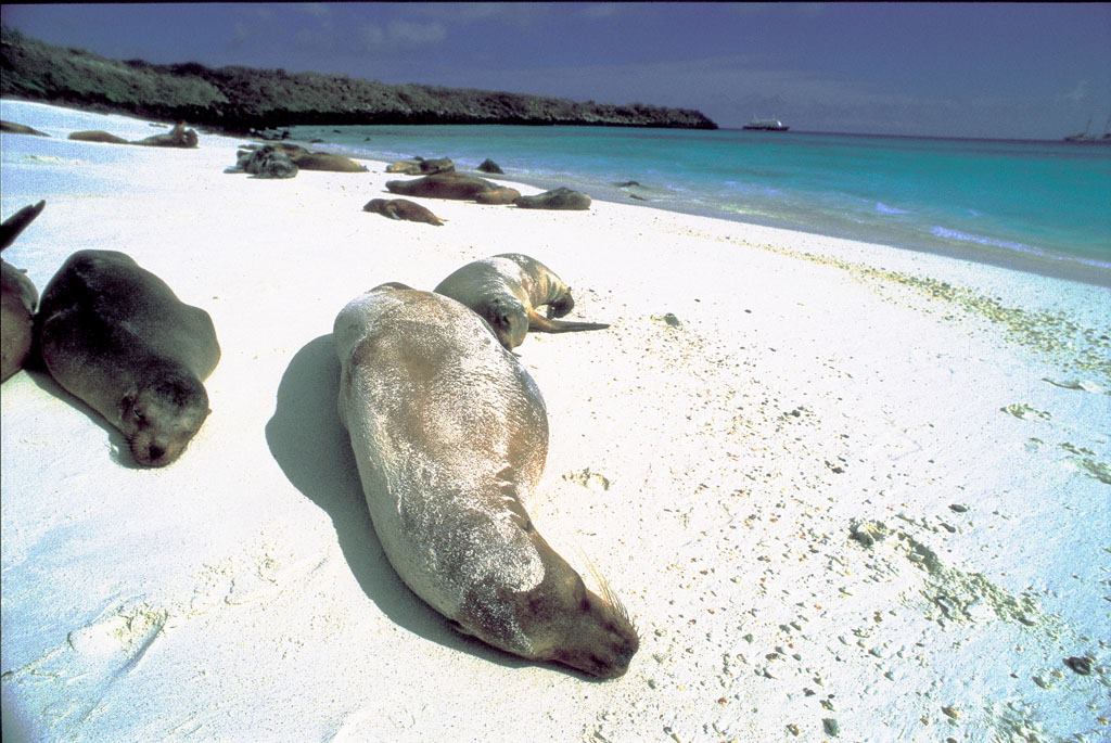 Latin Frontiers tweet media