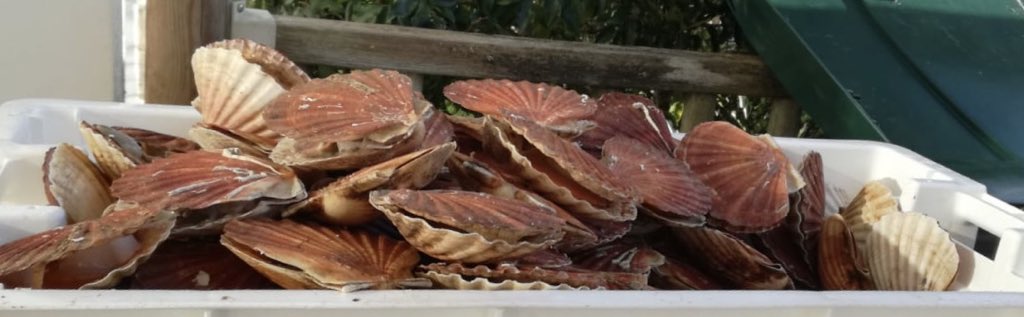 PVCPC101's tweet image. Fin de réunion Dop Ouest &amp;amp; Campagne gourmande et active!!! Un grand merci @PVOmahabeach14 @PVCourseulles @bartochfwi