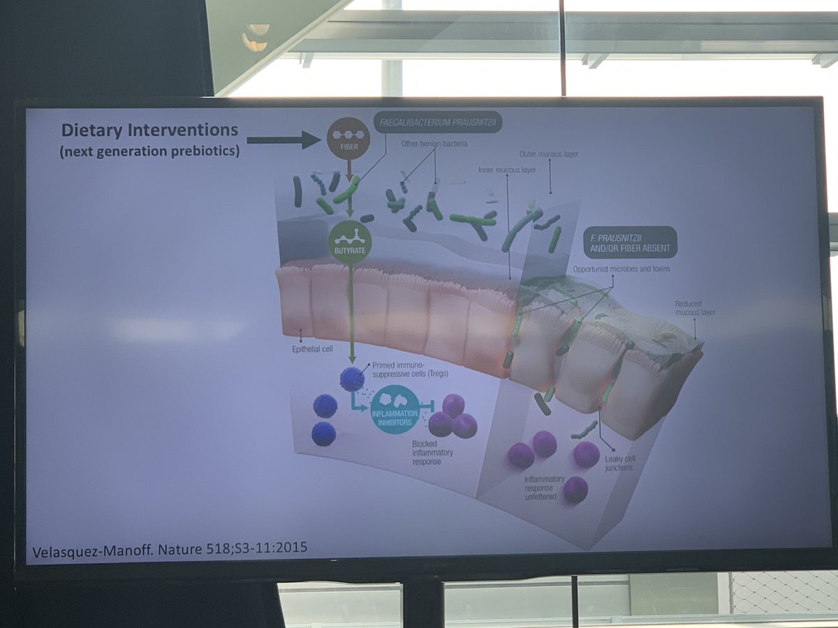 NoNutTraveler's tweet photo. Dr Gary Wu: #FAFSummit Talking dietary intervention- #foodallergy mention of butyrate - thinking ⁦@Liam_OMahony1⁩ talk at #PAAM2019 - ⁦@VenterCarina⁩ ⁦@ProfPeteSmith⁩ https://t.co/Sv5tqQCEpr