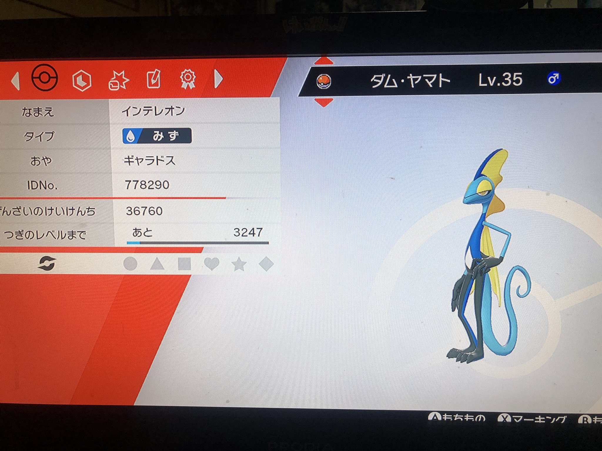 ギャラドスチャンネル Al Twitter メッソン最終進化系 インテレオン ポケモン ワイルドエリア ダイマックス T Co Oo0ewrx4dx Twitter