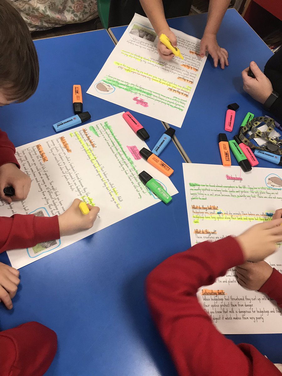 MissGhag_'s tweet photo. Today we analysed a non-chronological report about hedgehogs and identified key features #KS1 #English #NonFiction #Title #Subheading #Facts https://t.co/6F3F2yeEaV