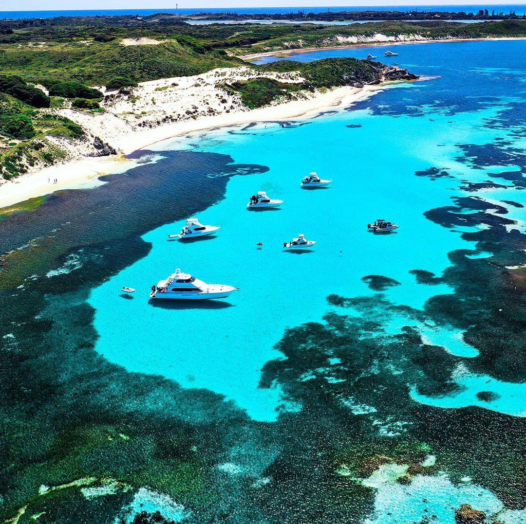 You can’t buy happiness but you can visit @rottnestIsland, and that’s kind of the same thing! 🙌🏼 (via IG/farfadexx in @westaustralia) #seeaustralia #justanotherdayinwa