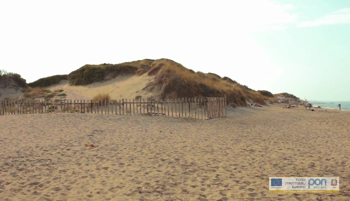 ilcomuneinforma's tweet image. Eventi nel Parco naturale regionale Dune Costiere nel Brindisino da Torre Canne a Torre San Leonardo  - Leggi tutto su ilcomuneinforma.it/viaggi/3384/ev…