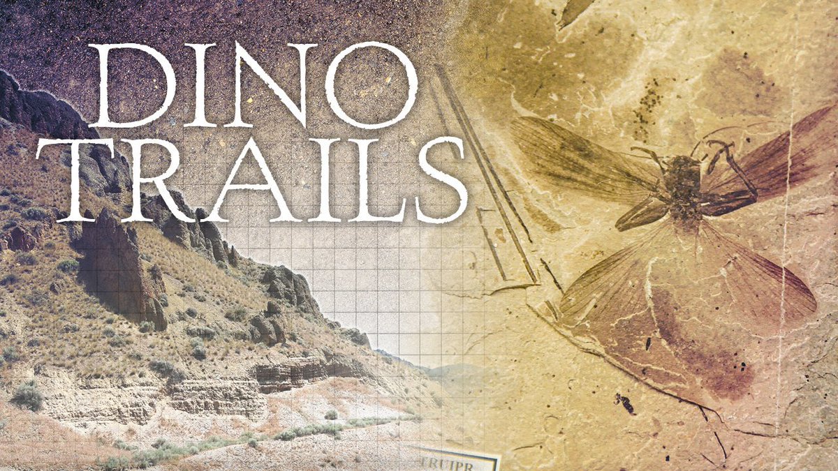Title card for the documentary Dino Trails, showing brown rock outcrops and a fossilized insect.