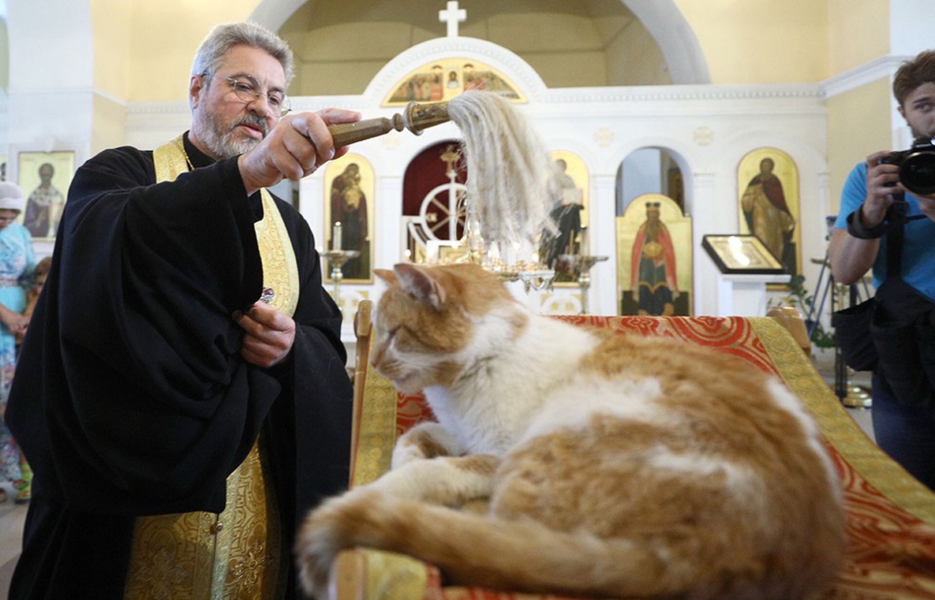 Кошка в церкви