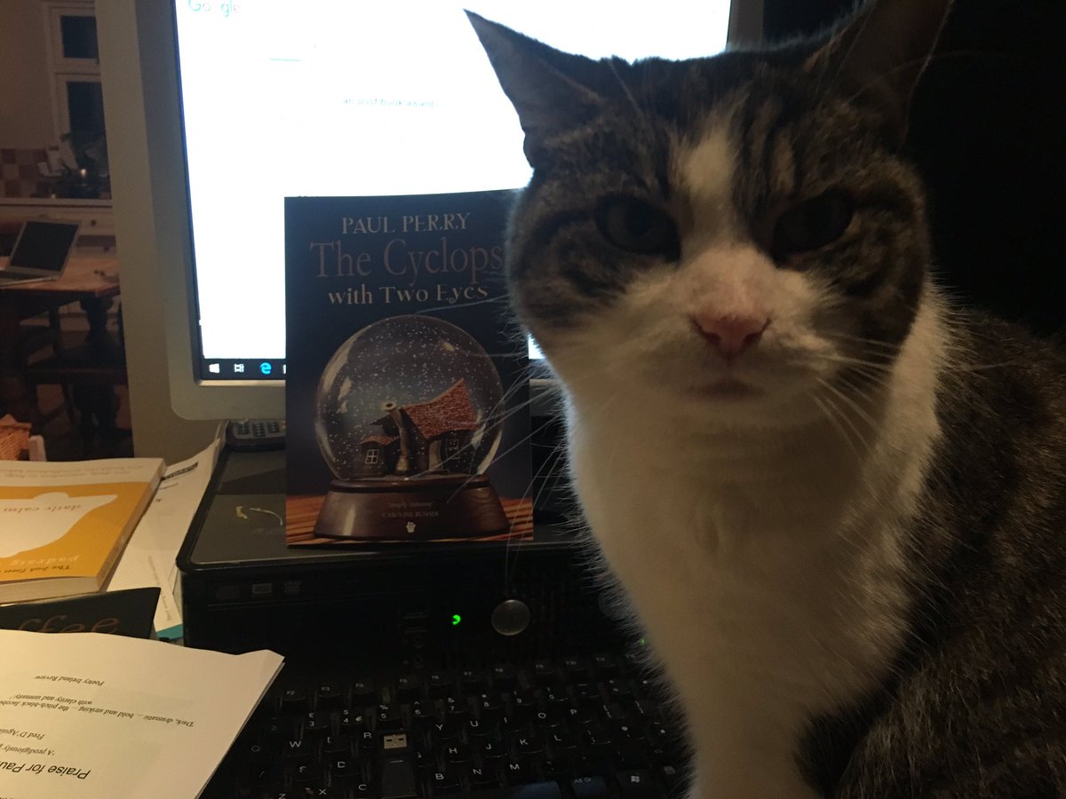 HCE_Review's tweet photo. Trying to read Paul Perry’s The Cyclops with Two Eyes about three adorable cats but someone is looking for attention! @PaulPerryWriter #CatsOfTwitter https://t.co/3aVqOj3Rv0