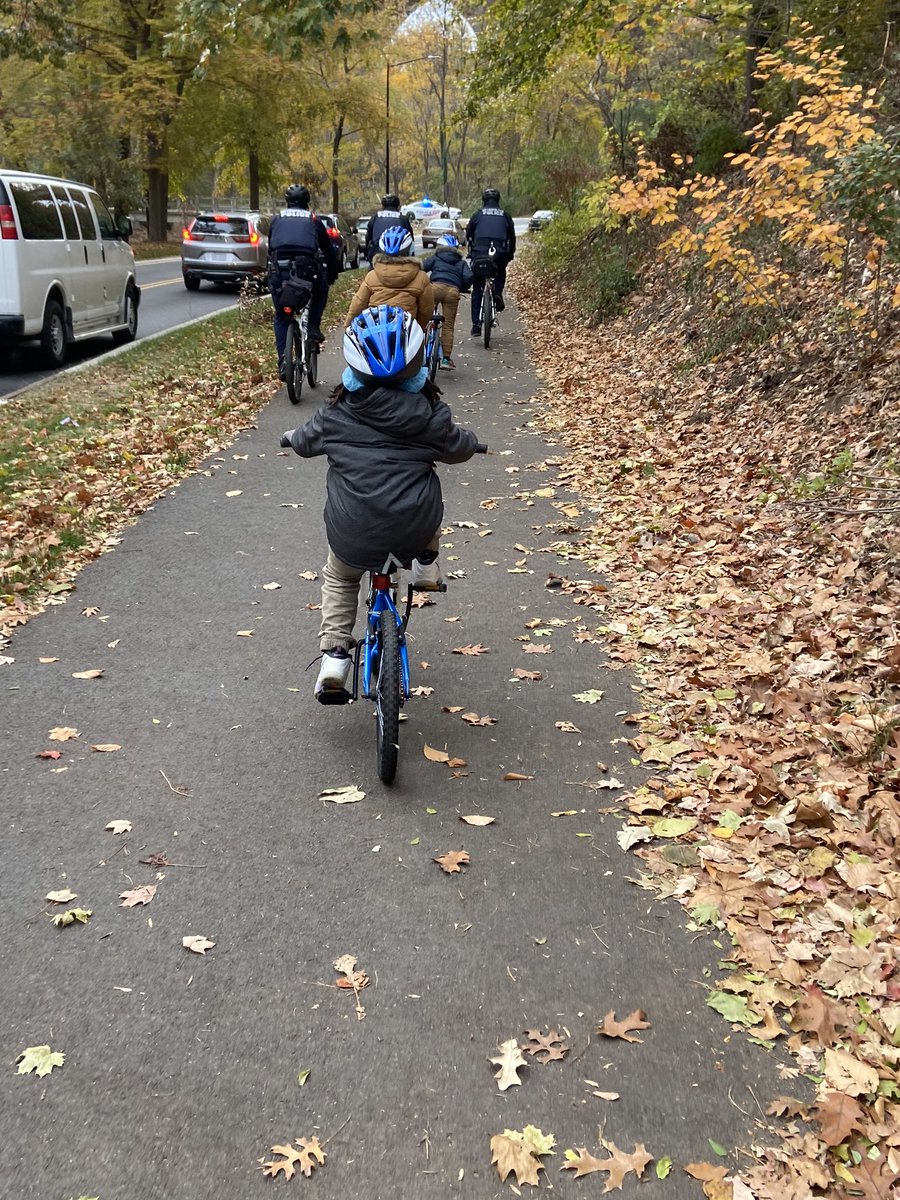 Roy Mitchell tweet media