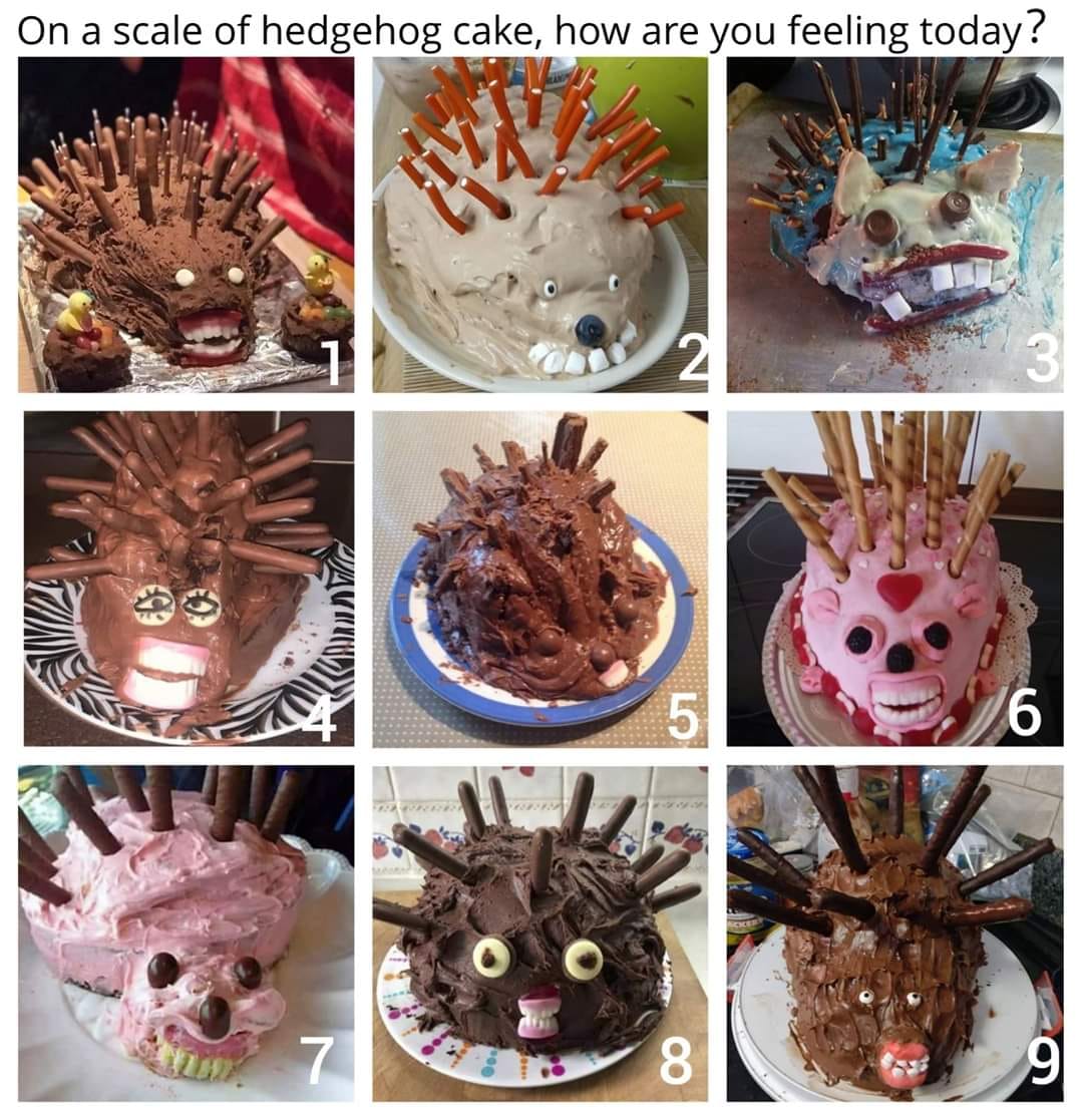 Carol Black On A Scale Of Hedgehog Cake How Are You Feeling Today