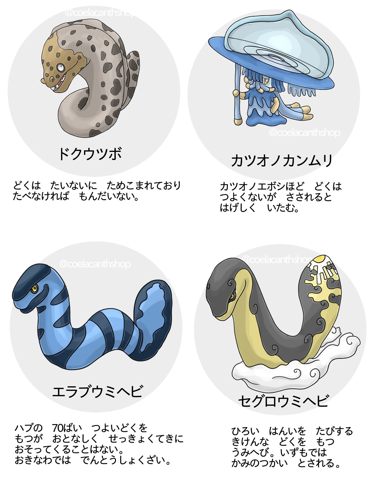 シーラカンス屋さん 続 もしポケモンだったら確実にどくタイプの技をもっているであろう方々 海の生きもの 毒 シーラカンス屋さん 続 もしポケモンだったら確実にどくタイプの技をもっているであろう方々 海の生きもの 毒