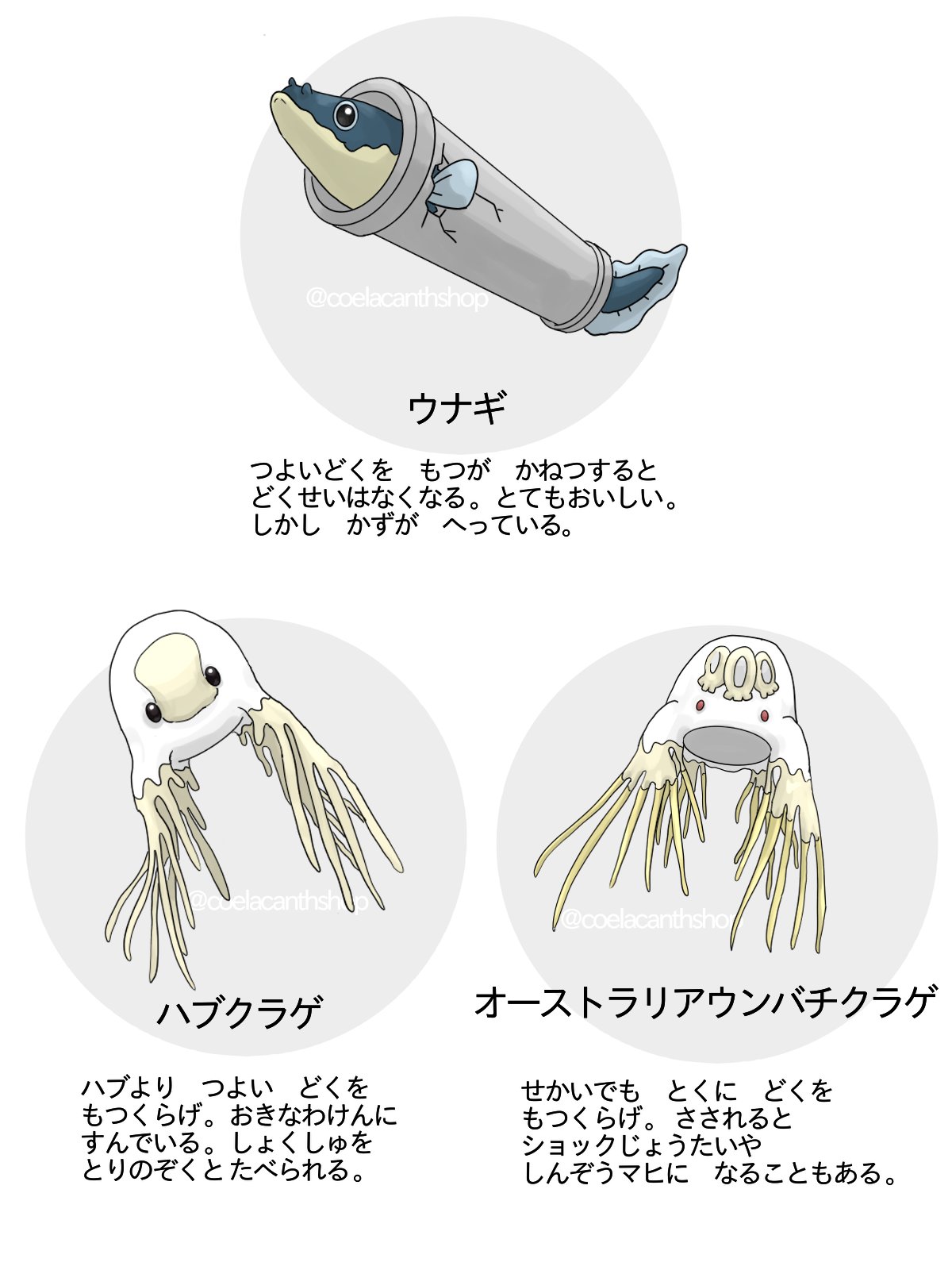 シーラカンス屋さん 続 もしポケモンだったら確実にどくタイプの技をもっているであろう方々 海の生きもの 毒 シーラカンス屋さん 続 もしポケモンだったら確実にどくタイプの技をもっているであろう方々 海の生きもの 毒