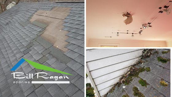 BillRaganRoof's tweet photo. Have you found shingles laying in your yard? How about the #1 sign of roof failure such as leaks or water spots on your ceiling? Should I Repair My Roof or Replace It for some answers > https://t.co/w7kIeN5DJq

#nashvilleroofer #funroofer #roofingquestions #billraganroofing https://t.co/aVICzOtvCX