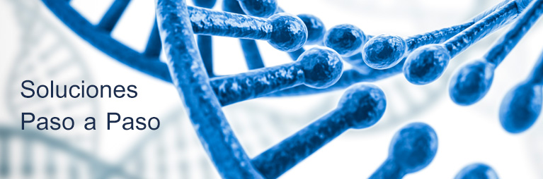 BonsaiAdvanced's tweet image. #FelizJueves en Bonsai contamos con la mejor tecnología para la extracción de ARN y ADN.Gracias a la técnica y la innovación, facilitamos el trabajo y apostamos por la investigación, una práctica fundamental en días como hoy #DíaMundialDeLaDiabetes 🧬🧪🔬
ow.ly/eYlp50xaLts