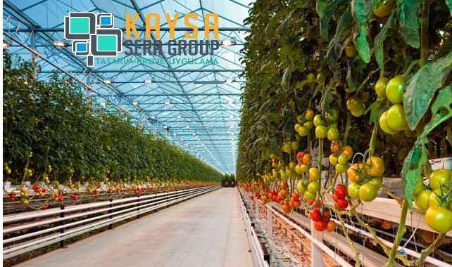 Seracılıkta profesyonel çözümler #Kaysasera #serasistemleri #sera #dera