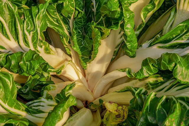 DrKenWeil's tweet photo. Reduce #Stress! Eat more #Healthy greens. DYK that leafy greens can aid #Relaxation? https://t.co/9QQ7iUWljk https://t.co/seztXnNO8F