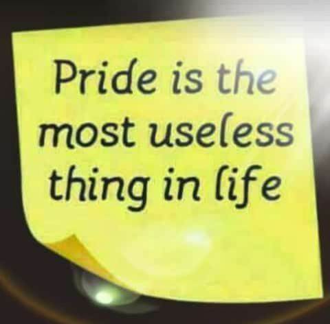 DWizzbert's tweet image. That is wat I hate the most "pride"