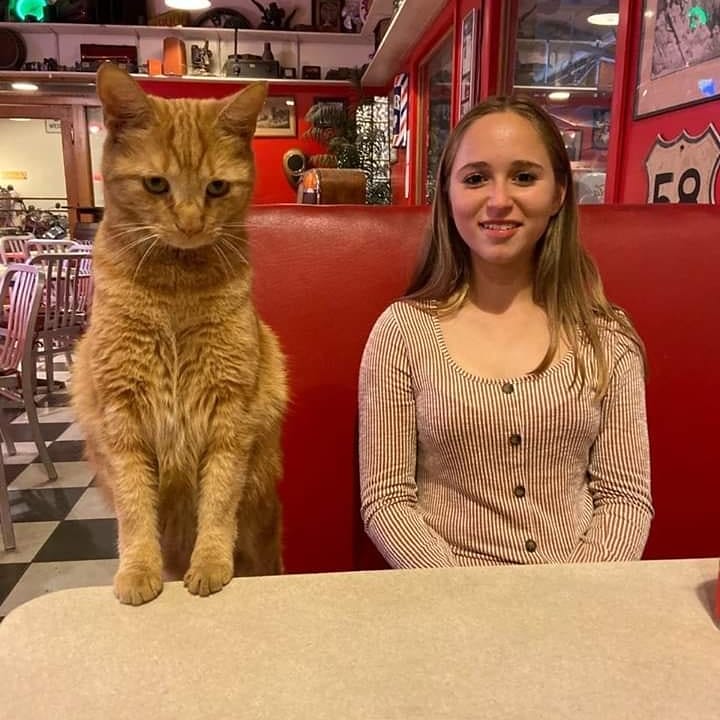 FantomWorks's tweet photo. Sadie Cat really enjoys hanging out with our guests! Kahler was so kind to entertain her. Join us for our tour tomorrow, 11/15, at 3pm. Both Dan & Audrey are here with some SEMA stories to share. #Sadiecat #FantomWorks https://t.co/XXeE1Ayg5e