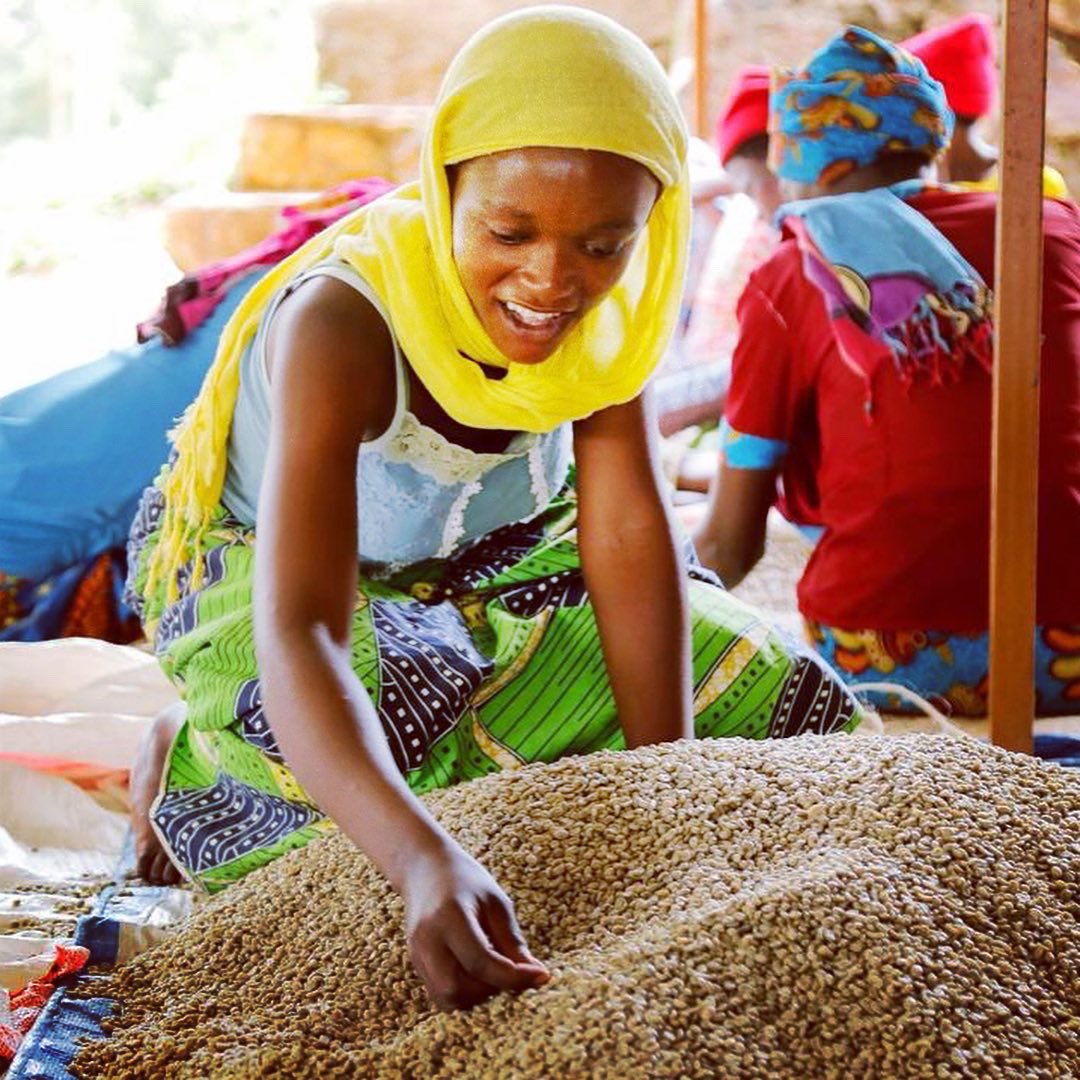 RwandaBean's tweet photo. Did you know that:

“EVERY step, except the husking of the ripe coffee “cherries”, is done by hand. 

Learn more https://t.co/qLSWiKror3

#CoffeeLover #coffeestory
#fairtrade #portlandme #farmerwelfare #handcrafted #bestcoffee #giveback #rwandabean #50back https://t.co/U1B6y8CIGP