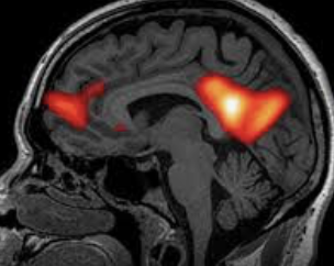 ecalixto's tweet photo. El cerebro humano NO recuerda días, recuerda momentos.
Es incapaz de ser feliz “para siempre” o de llorar intensamente por mucho tiempo. 
El cerebro autolimita la expresión de sus emociones. https://t.co/QlXXZpJMQI