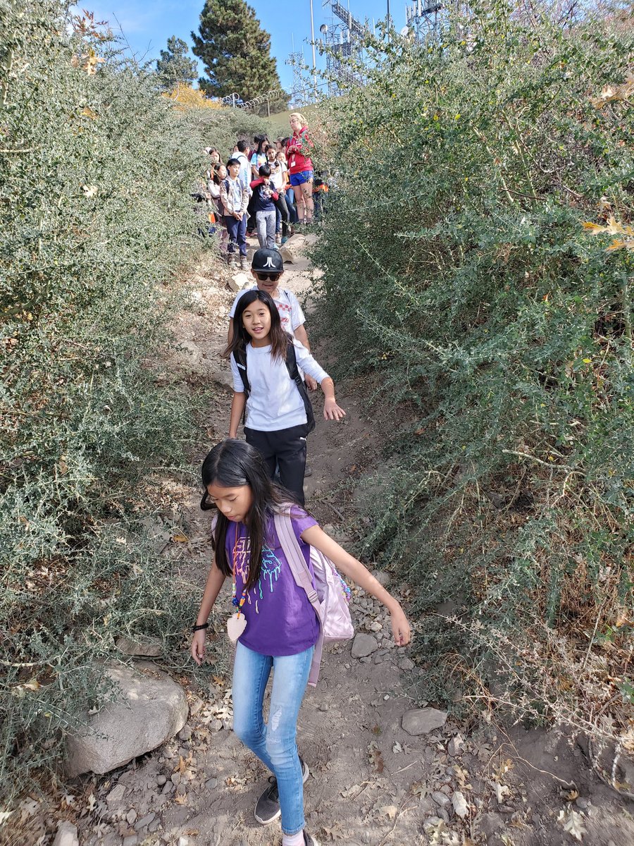 mhoffmanausd's tweet photo. It's been a great week with perfect camp weather! I also love seeing our Ss explore and having fun outside the classroom! Teacher time is always a bonus too! @Dana_Mariners #danamariners #OSS #hikingishealthy https://t.co/kgfVN70ps5