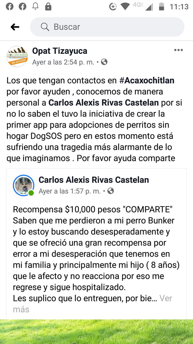 SoyUnDAGDA's tweet photo. Ya han pasado 10 días que el Hotel Rancho los Verde en Acaxochitlán irresponsablemente perdieron a mi perrhijo #BUNKER, hace 3 días el dueño me ha bloqueado de comunicación.
Necesito su apoyo para si alguien lo tiene me regrese y le daré una recompensar por resguardarlo. https://t.co/QfagNo8GM9