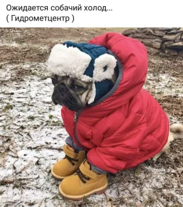 Нина Ворсо (@nina_vorso) on Twitter photo 