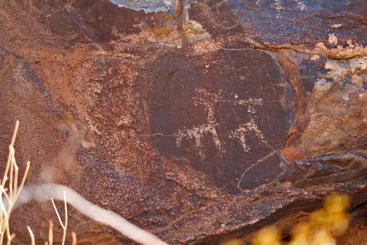 acnc_smeec's tweet photo. The Hohokam developed a unique artistic style that is richly represented throughout the park.
Petroglyphs are drawings pecked and scratched into natural stone surfaces. The #SouthMountains contain thousands, and several can be found on the Judith Tunnell Trail by #SMEEC! https://t.co/uQpLKrSA8Y