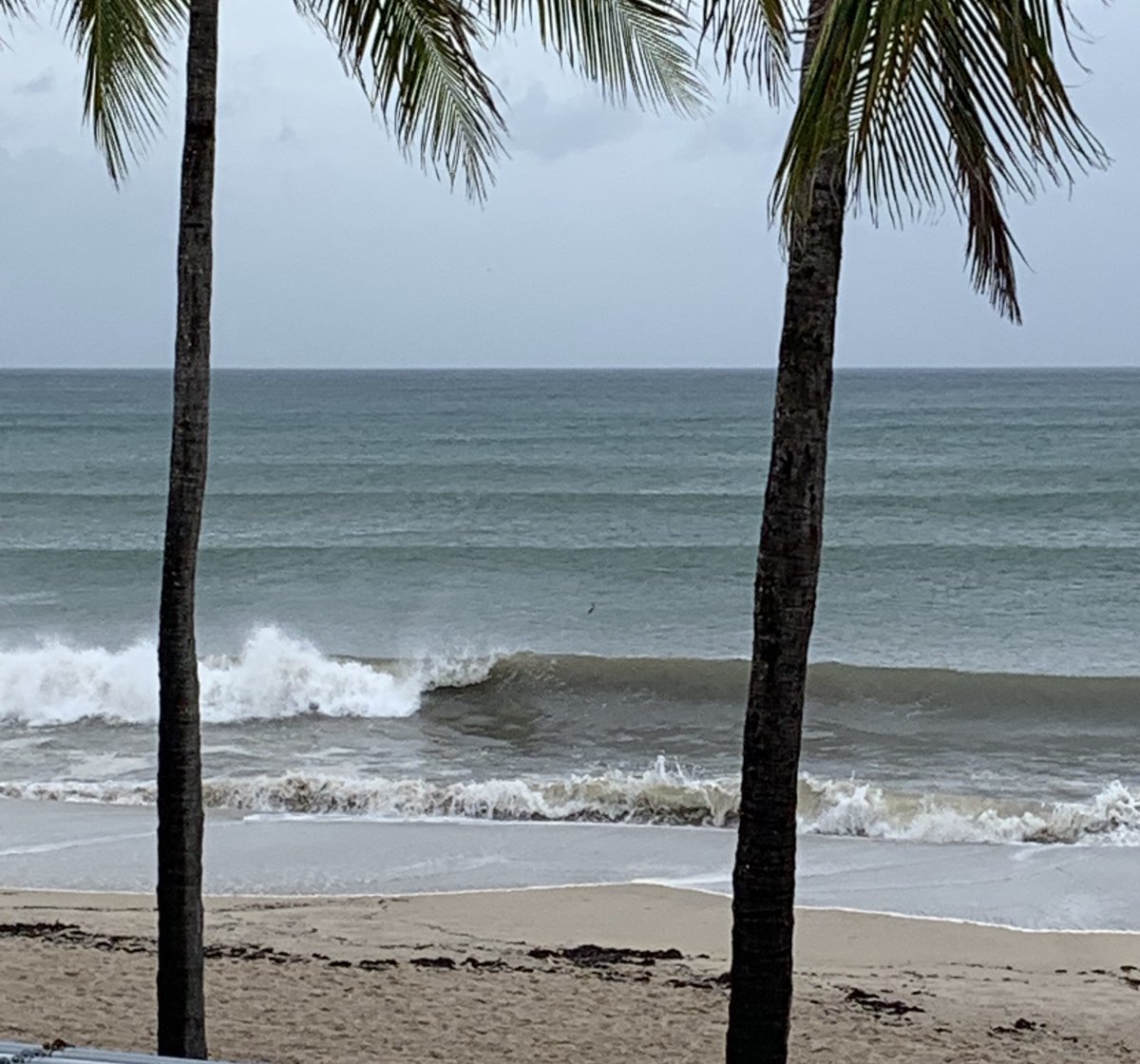 arubabeachcafe's tweet photo. A rainy day at Aruba is better than a sunny day at the office! It's time for Happy Hour you won't get wet! #livemusic #happy #ocean #mussels #happyhour #cocktails #ThursdayThoughts #cruiseworld #gflcc https://t.co/mSLoP2M94y