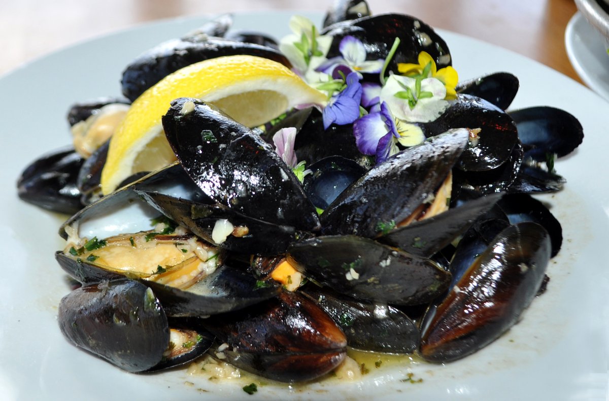 arubabeachcafe's tweet photo. A rainy day at Aruba is better than a sunny day at the office! It's time for Happy Hour you won't get wet! #livemusic #happy #ocean #mussels #happyhour #cocktails #ThursdayThoughts #cruiseworld #gflcc https://t.co/mSLoP2M94y