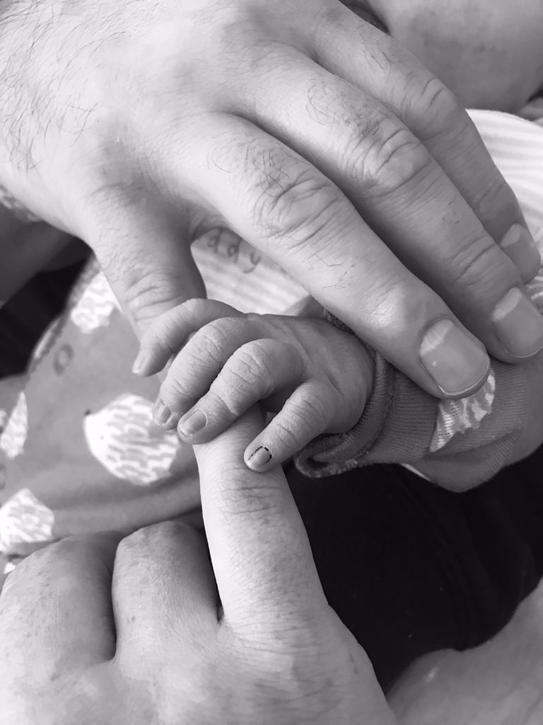 Lynette Fay tweet media