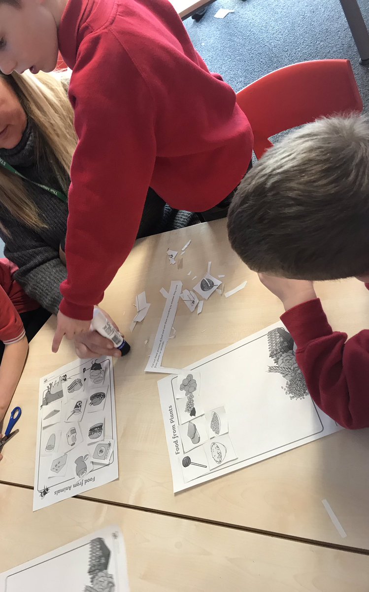 MackenzieSeona's tweet photo. Debate, discussion and sorting occurred the other day as p2 decided whether foods were from plants or from animals! https://t.co/9ul9oXv5Jr