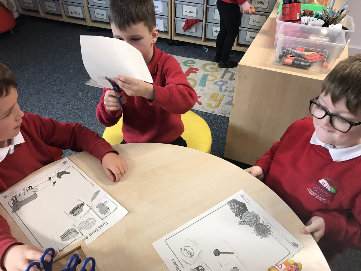 MackenzieSeona's tweet photo. Debate, discussion and sorting occurred the other day as p2 decided whether foods were from plants or from animals! https://t.co/9ul9oXv5Jr