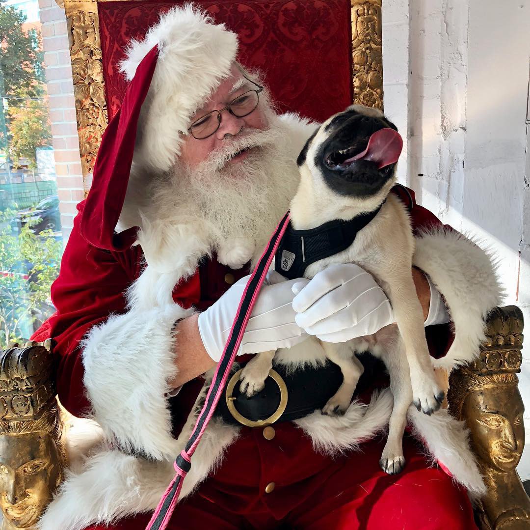Throwback to when SantaPaws told me to smile 😃 for the camera 📸 
I may have been a little over enthusiastic 🤪😜😝
#ThrowbackThursday #SantaClausParadeTO #santaclausiscomingtotown
