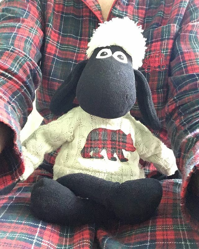 Annettehelen's tweet photo. This week’s #plushiecolourquest theme as hosted by @theo_bear_uk is tartan! I have coordinated the bear on my jumper with my human’s pyjamas. #theolovestartan and so do we!! #sheepforthewin #tartan #pyjamas #coordinatingoutfits #plushiesofinstagram #shau… https://t.co/Sa7R8m3Wll https://t.co/u0sBmYCLOi