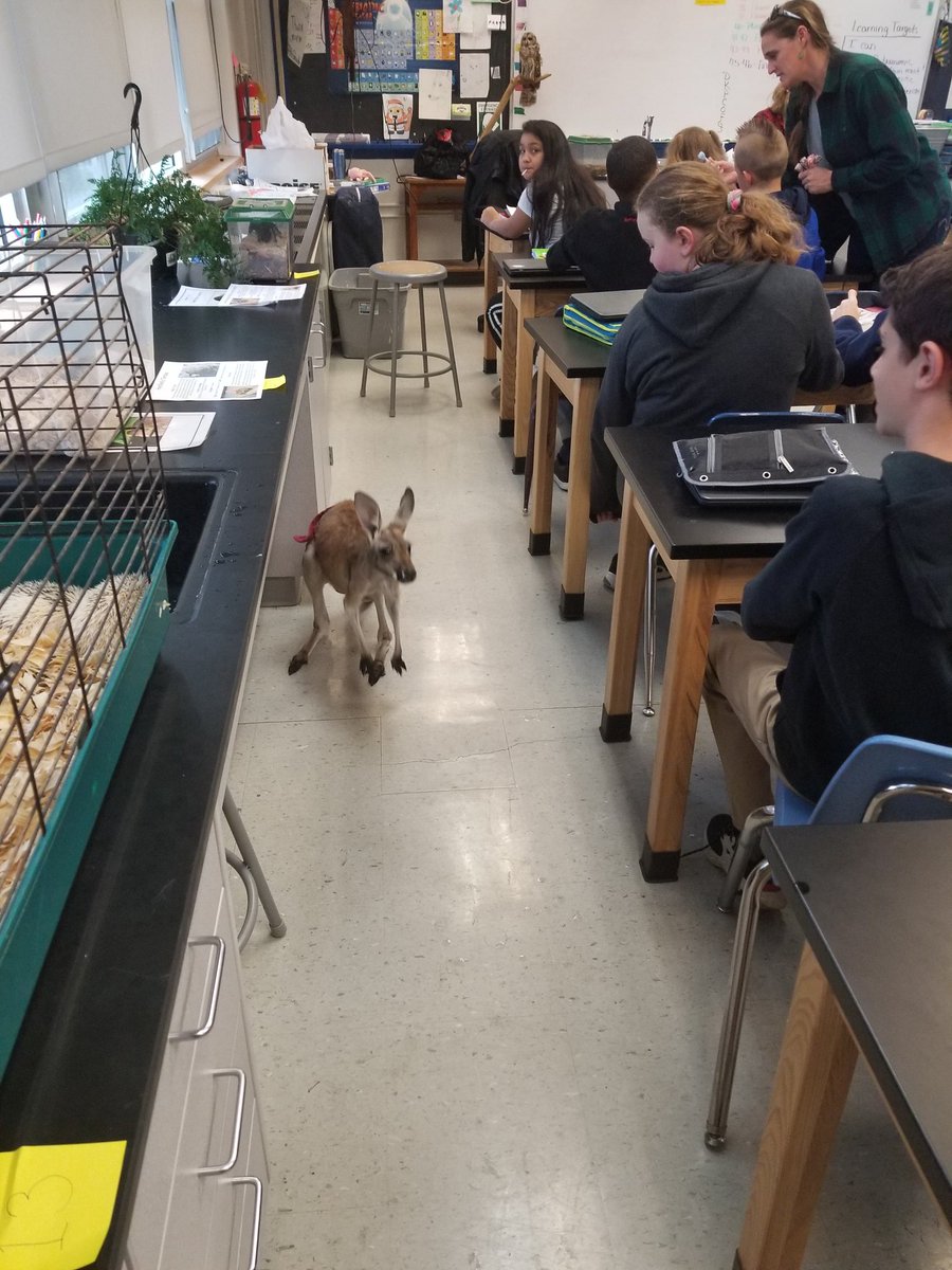 Vicki Thompson tweet media